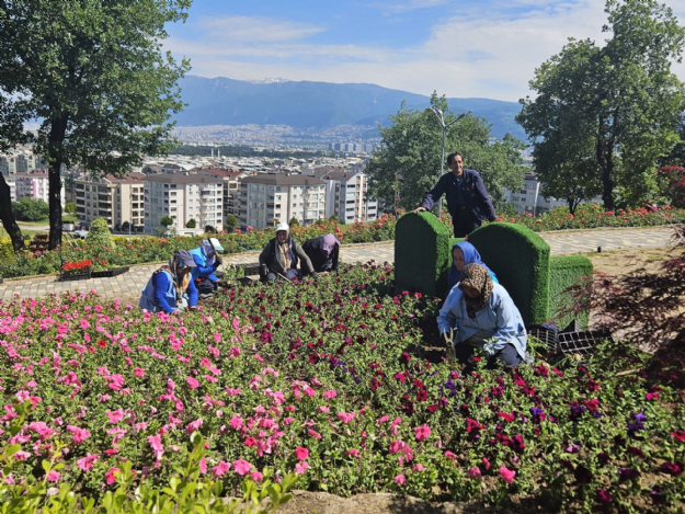 Osmangazi İlçesinde Çiçekler Açıyor